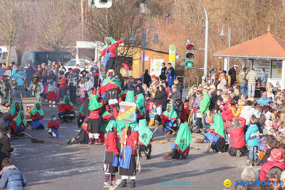 Narrensprung: Hasenweiler am Bodensee, 12.01.2014