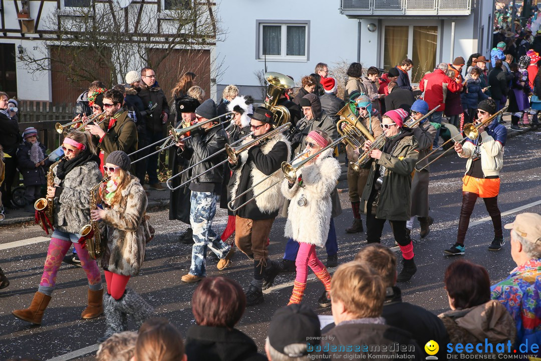 Narrensprung: Hasenweiler am Bodensee, 12.01.2014