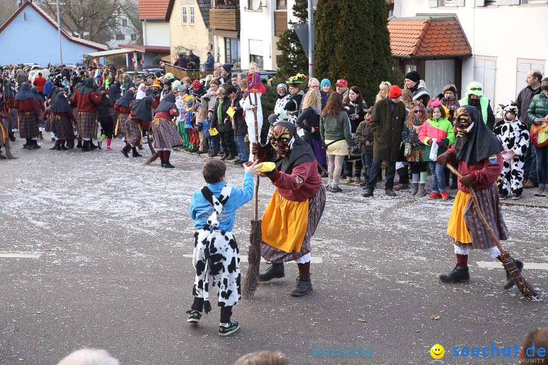 Narrensprung: Hasenweiler am Bodensee, 12.01.2014