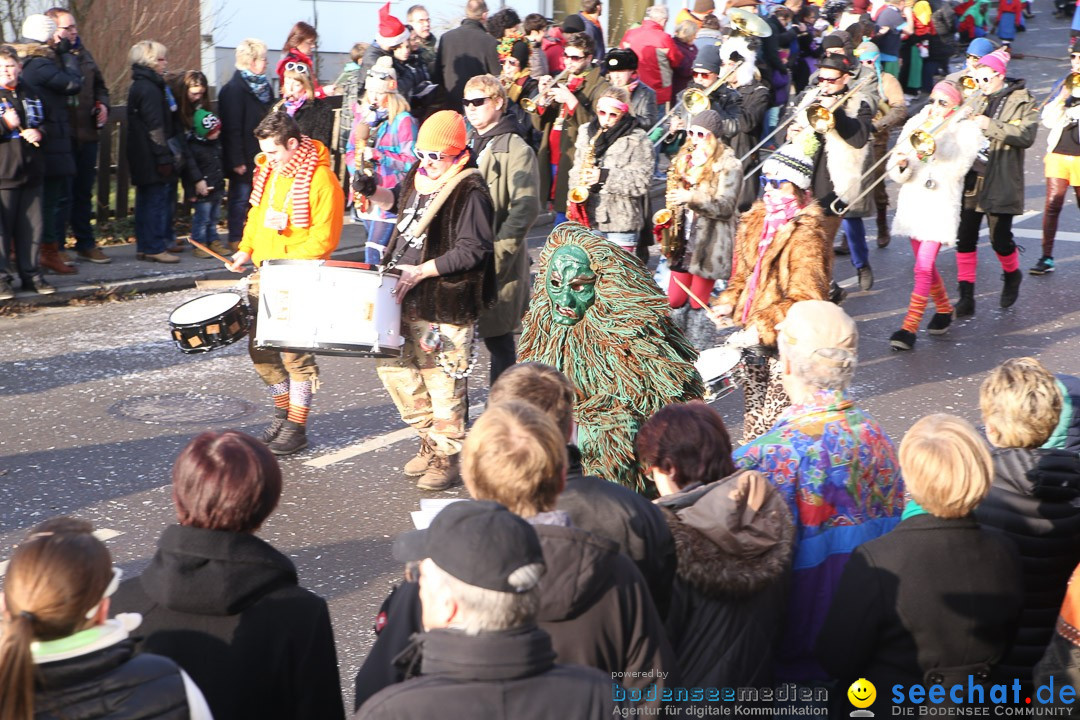 Narrensprung: Hasenweiler am Bodensee, 12.01.2014