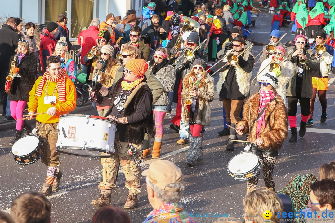 Narrensprung: Hasenweiler am Bodensee, 12.01.2014