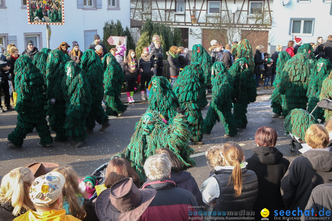 Narrensprung: Hasenweiler am Bodensee, 12.01.2014