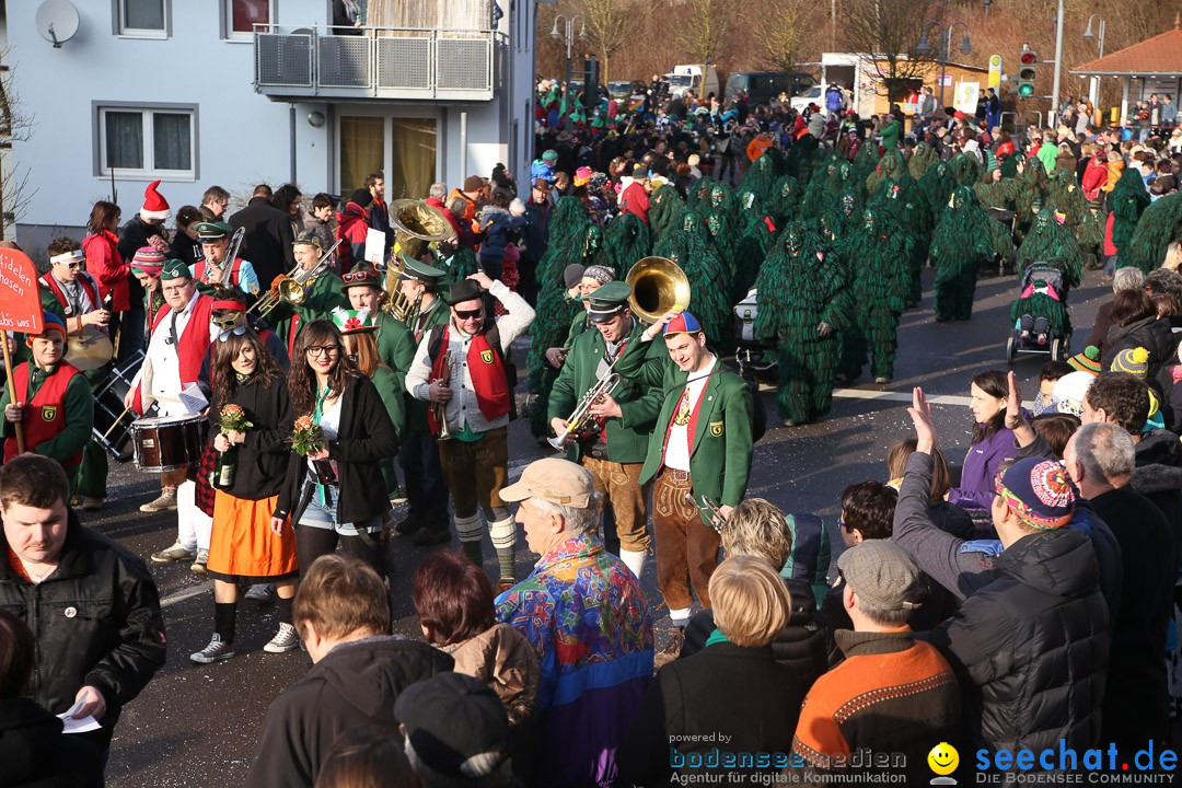 Narrensprung: Hasenweiler am Bodensee, 12.01.2014