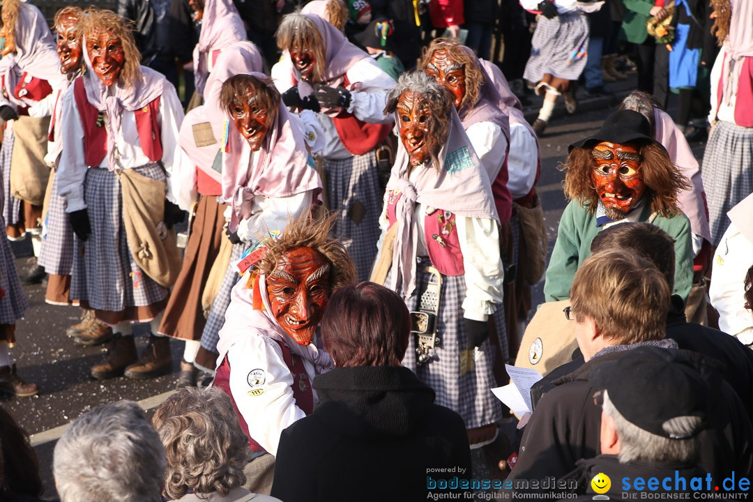 Narrensprung: Hasenweiler am Bodensee, 12.01.2014