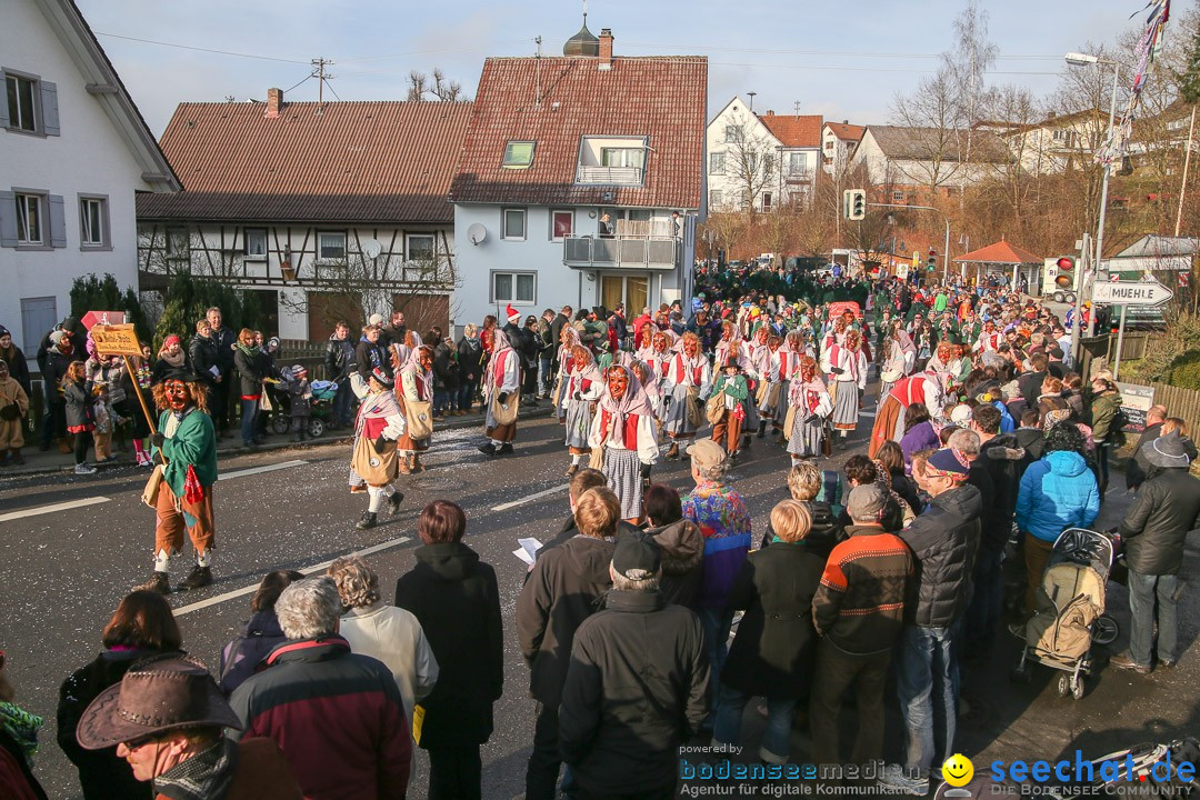 Narrensprung: Hasenweiler am Bodensee, 12.01.2014