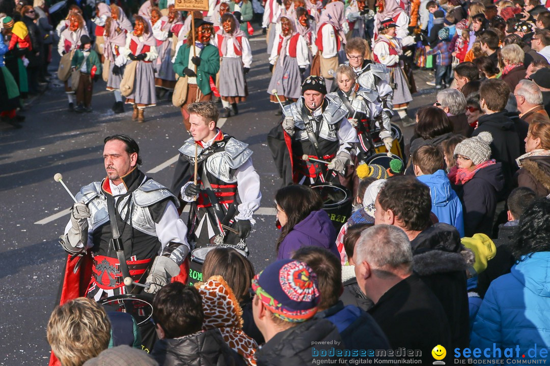 Narrensprung: Hasenweiler am Bodensee, 12.01.2014