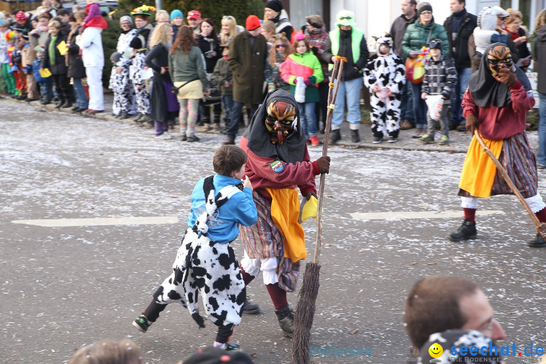 Narrensprung: Hasenweiler am Bodensee, 12.01.2014