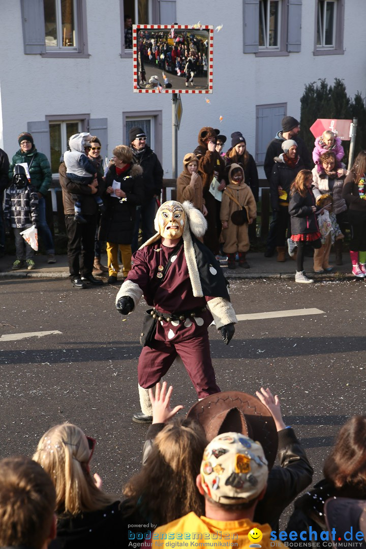 Narrensprung: Hasenweiler am Bodensee, 12.01.2014