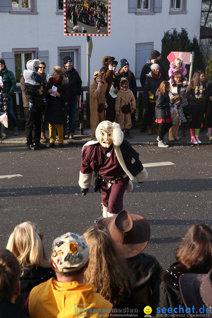 Narrensprung: Hasenweiler am Bodensee, 12.01.2014