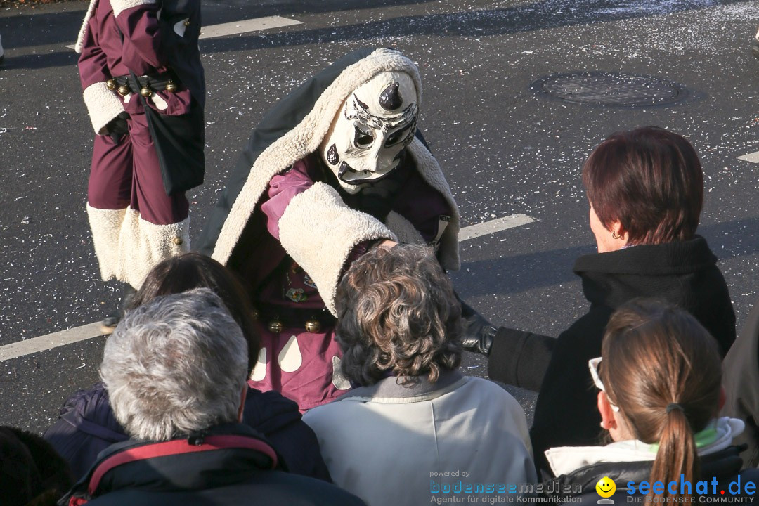 Narrensprung: Hasenweiler am Bodensee, 12.01.2014