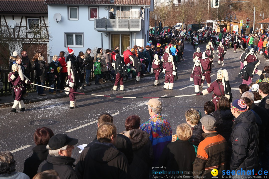 Narrensprung: Hasenweiler am Bodensee, 12.01.2014