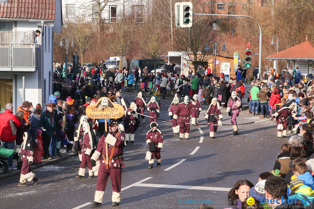 Narrensprung: Hasenweiler am Bodensee, 12.01.2014