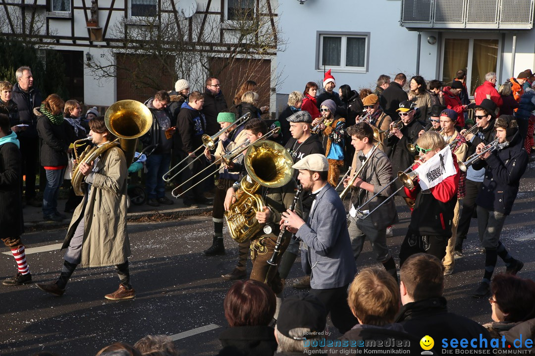 Narrensprung: Hasenweiler am Bodensee, 12.01.2014