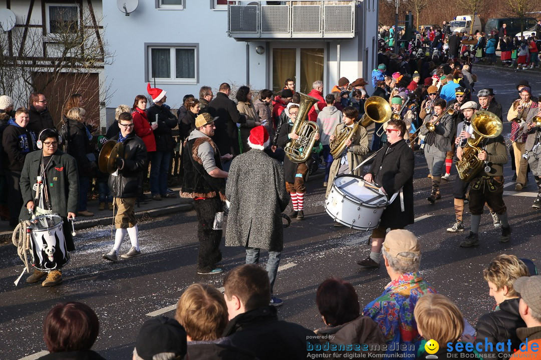 Narrensprung: Hasenweiler am Bodensee, 12.01.2014