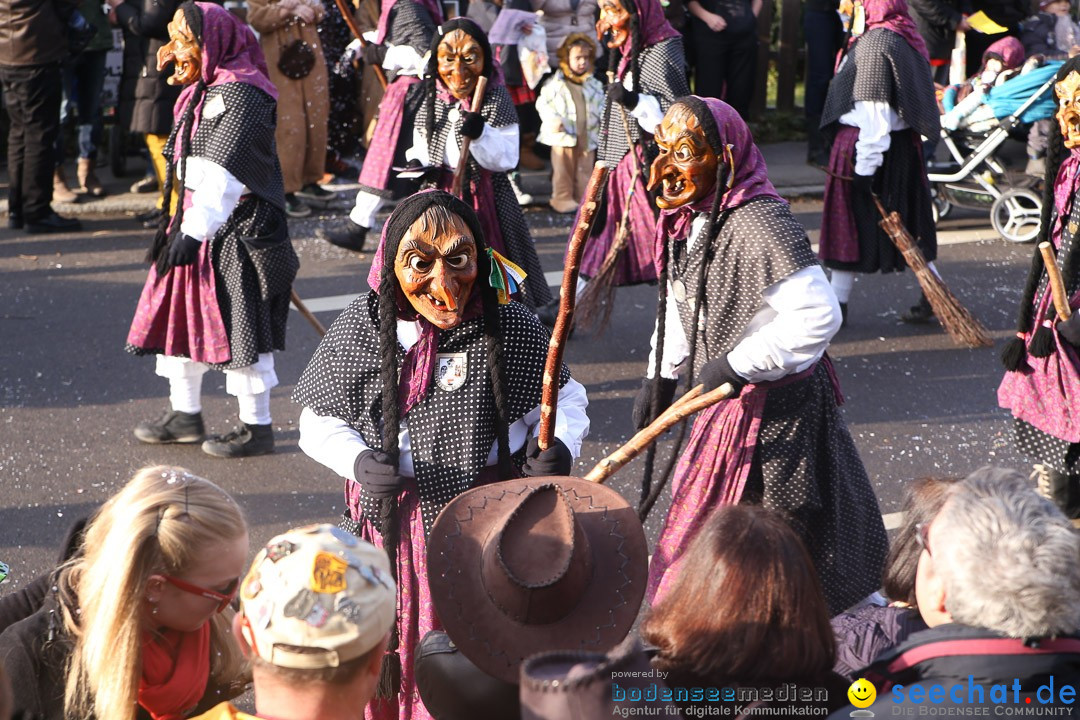 Narrensprung: Hasenweiler am Bodensee, 12.01.2014