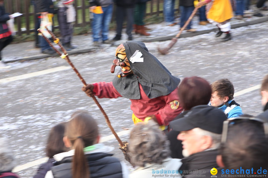 Narrensprung: Hasenweiler am Bodensee, 12.01.2014