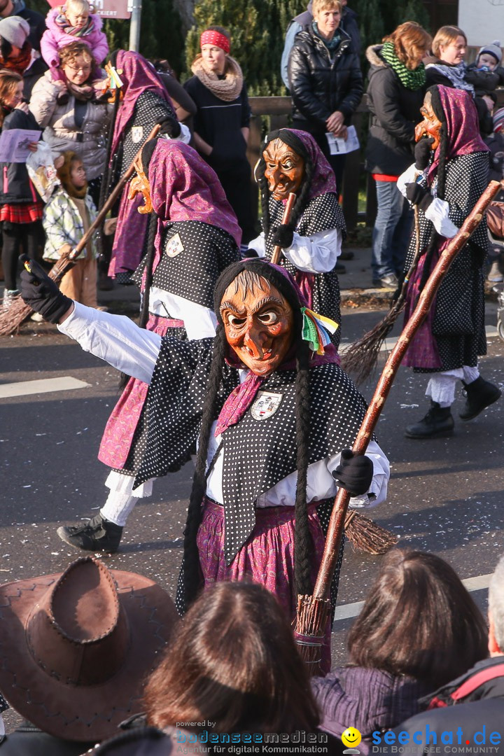 Narrensprung: Hasenweiler am Bodensee, 12.01.2014