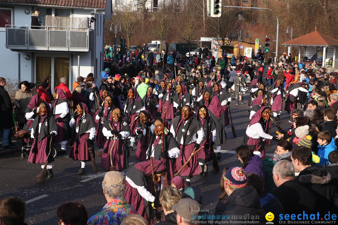 Narrensprung: Hasenweiler am Bodensee, 12.01.2014