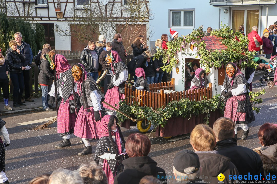 Narrensprung: Hasenweiler am Bodensee, 12.01.2014