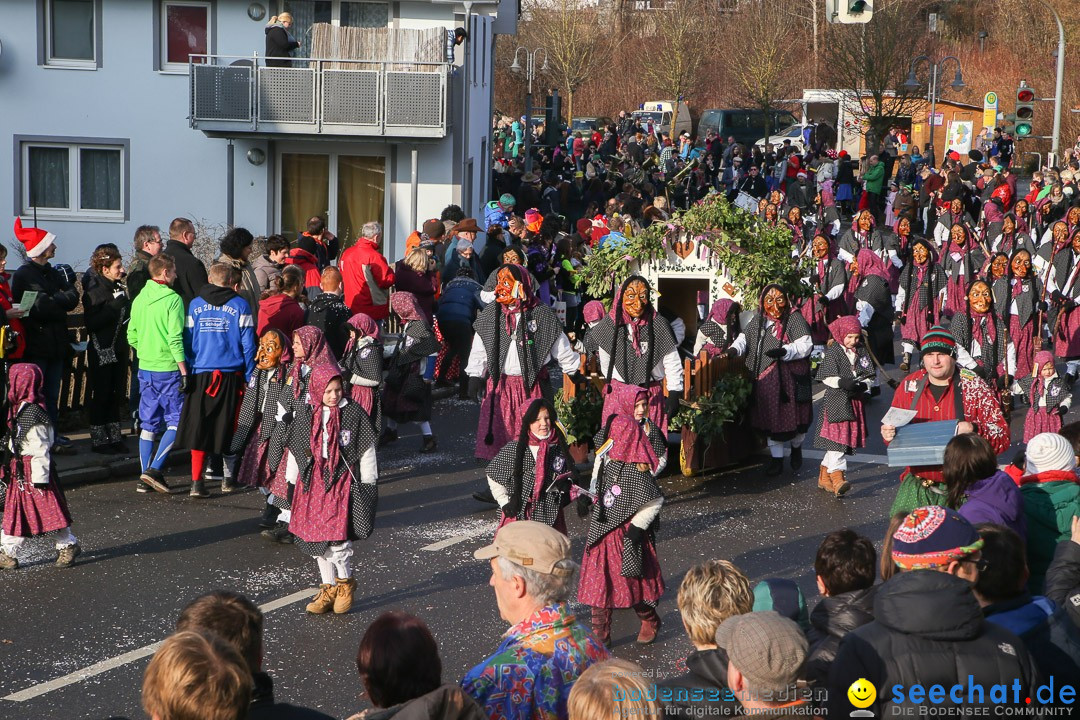 Narrensprung: Hasenweiler am Bodensee, 12.01.2014