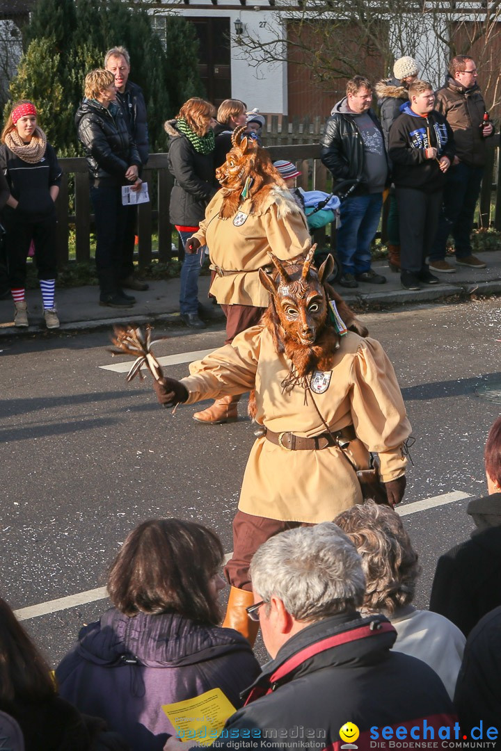 Narrensprung: Hasenweiler am Bodensee, 12.01.2014