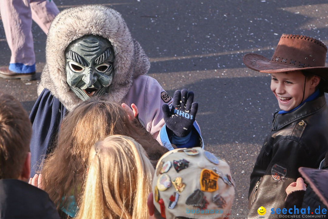 Narrensprung: Hasenweiler am Bodensee, 12.01.2014