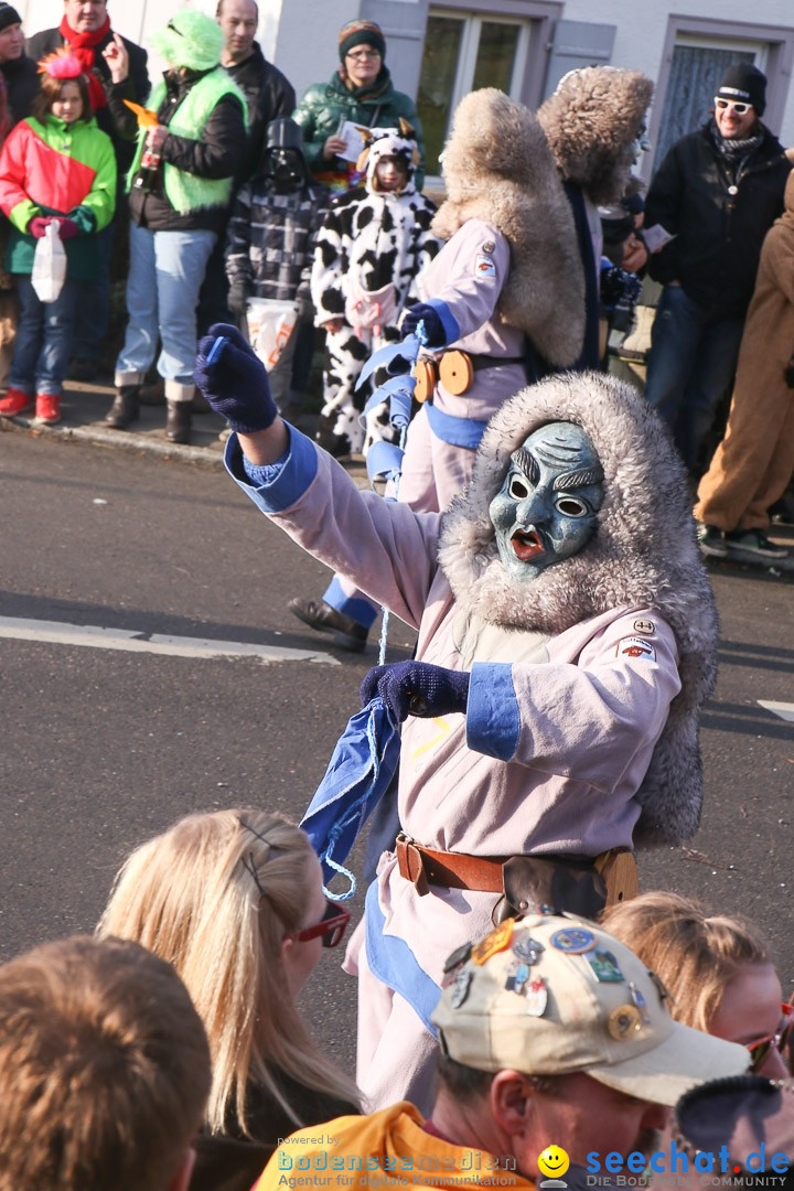 Narrensprung: Hasenweiler am Bodensee, 12.01.2014