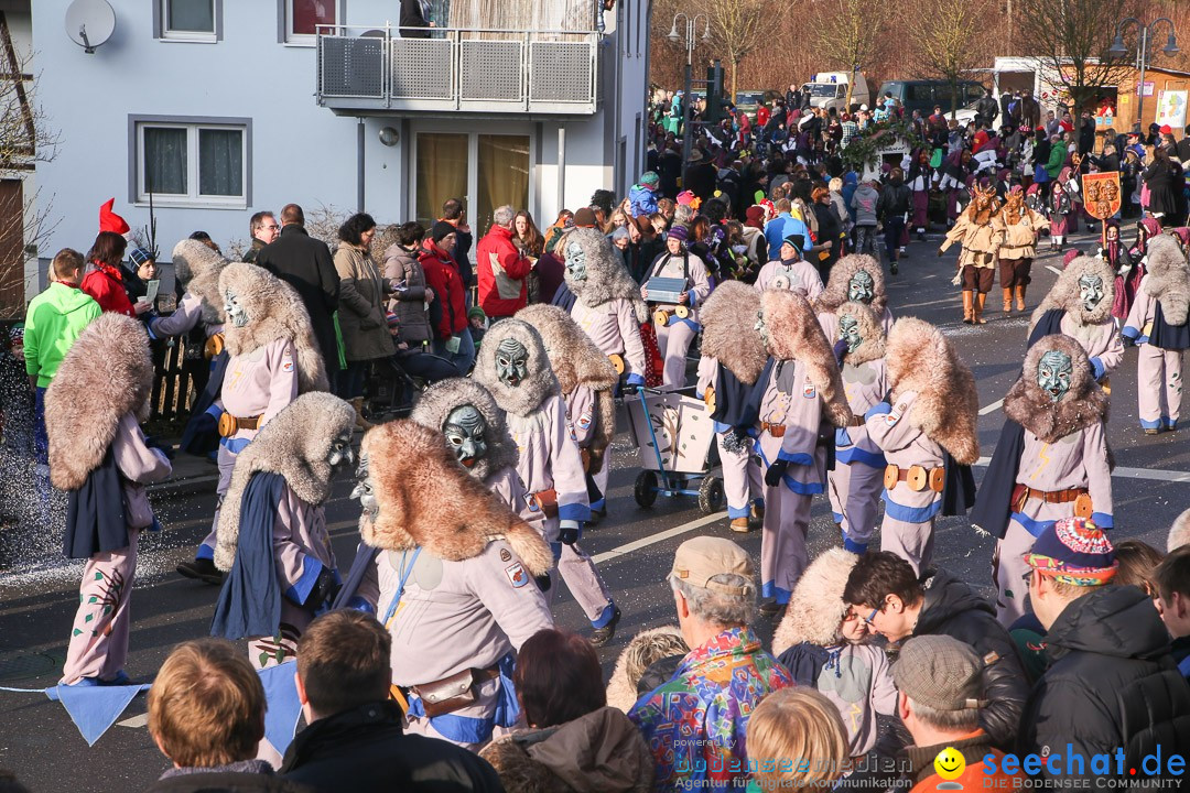 Narrensprung: Hasenweiler am Bodensee, 12.01.2014