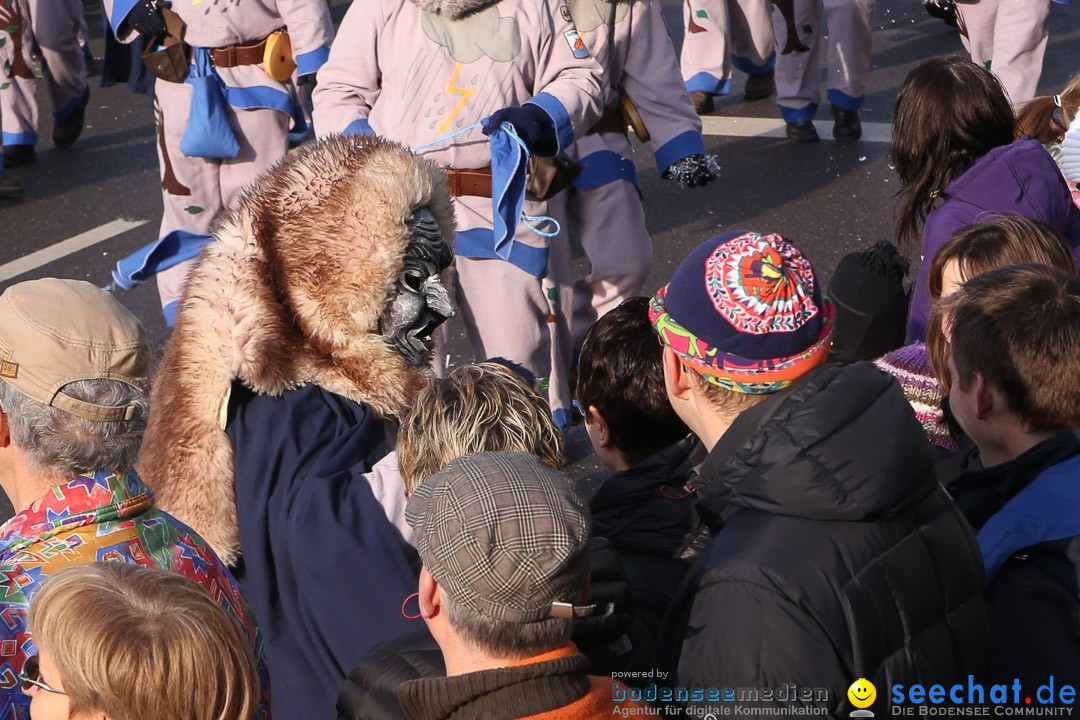 Narrensprung: Hasenweiler am Bodensee, 12.01.2014