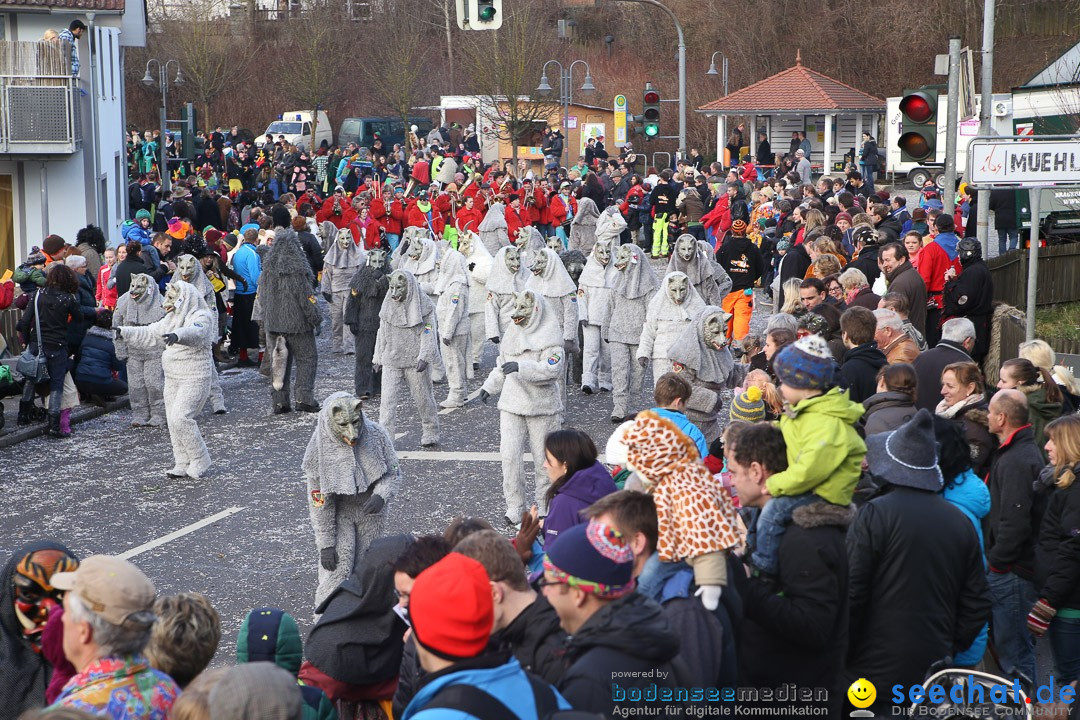 Narrensprung: Hasenweiler am Bodensee, 12.01.2014