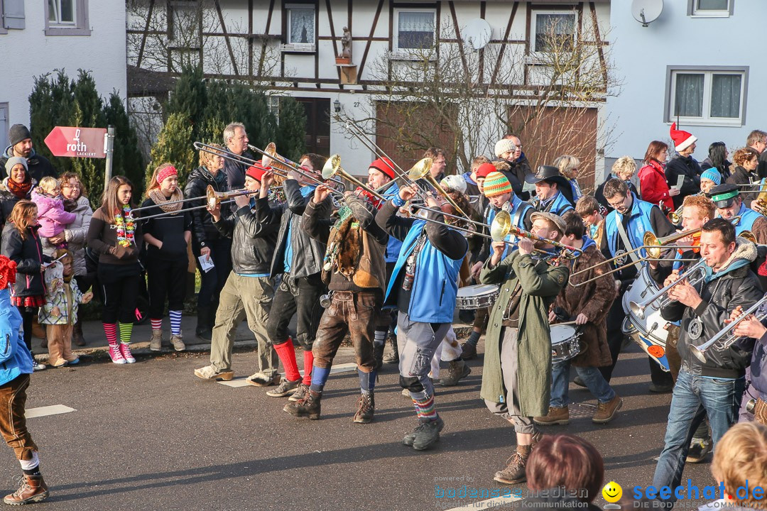 Narrensprung: Hasenweiler am Bodensee, 12.01.2014