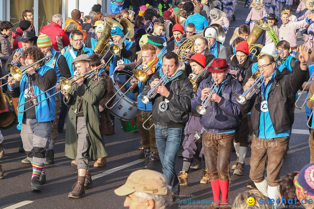 Narrensprung: Hasenweiler am Bodensee, 12.01.2014