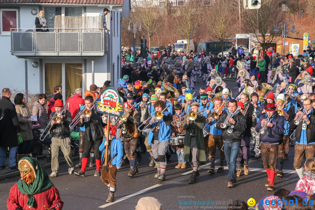 Narrensprung: Hasenweiler am Bodensee, 12.01.2014