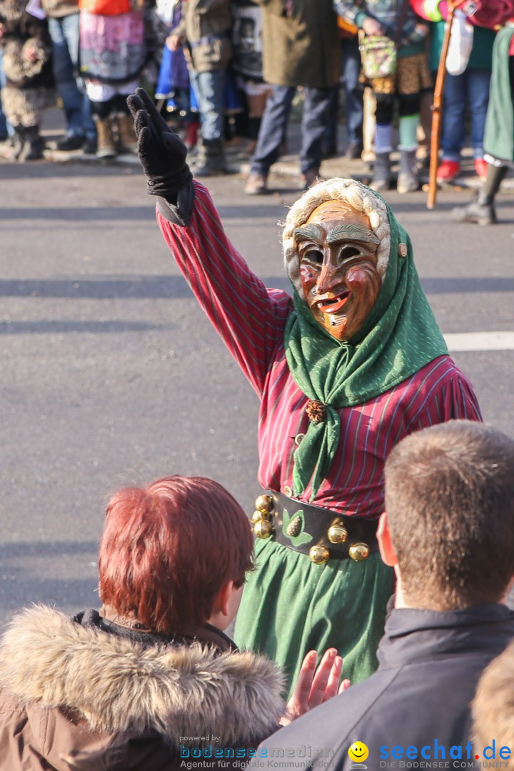 Narrensprung: Hasenweiler am Bodensee, 12.01.2014