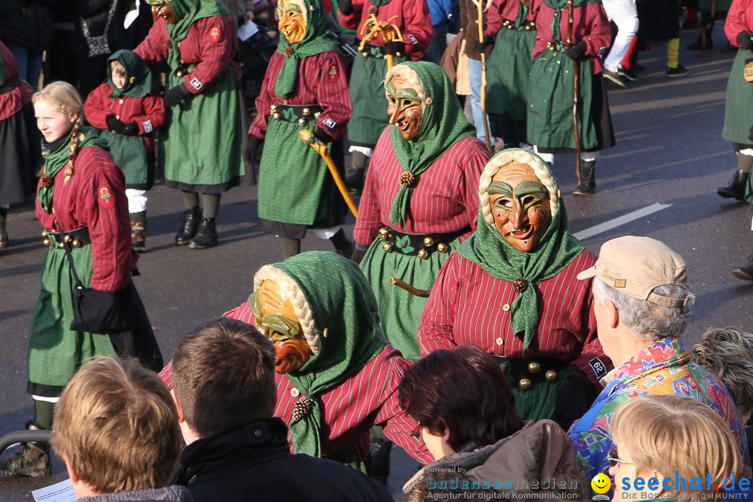 Narrensprung: Hasenweiler am Bodensee, 12.01.2014