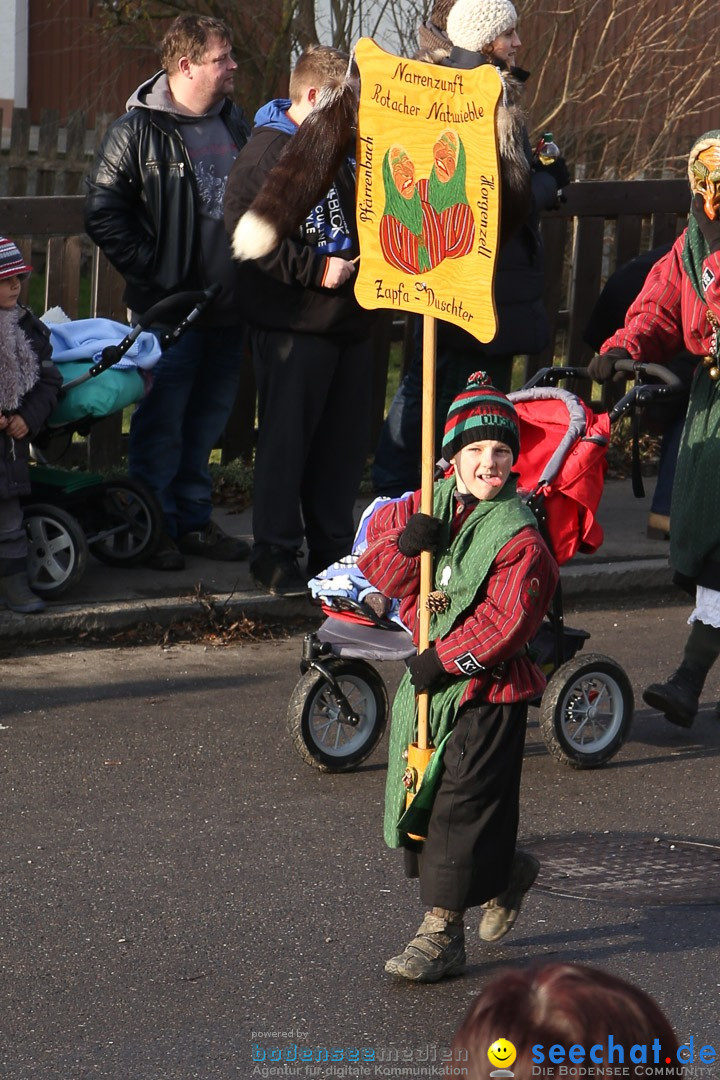 Narrensprung: Hasenweiler am Bodensee, 12.01.2014