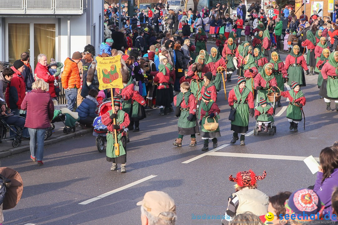 Narrensprung: Hasenweiler am Bodensee, 12.01.2014