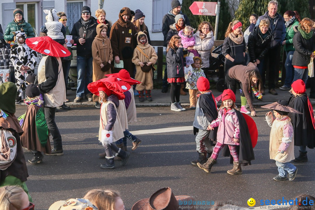 Narrensprung: Hasenweiler am Bodensee, 12.01.2014