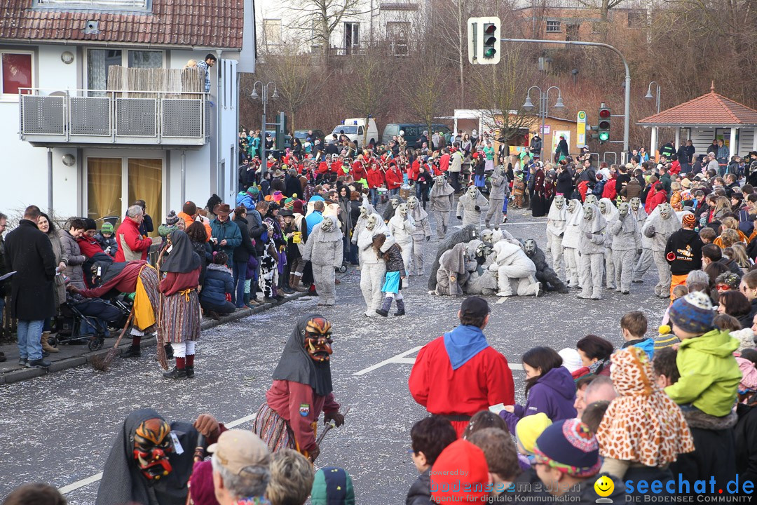 Narrensprung: Hasenweiler am Bodensee, 12.01.2014