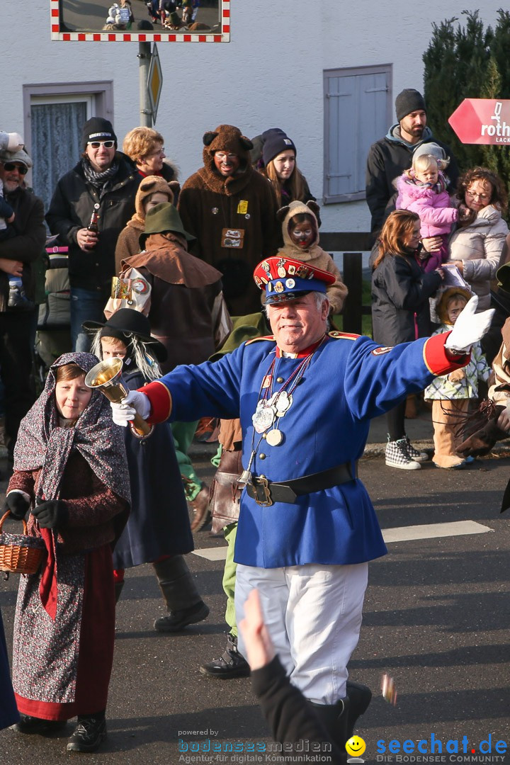 Narrensprung: Hasenweiler am Bodensee, 12.01.2014