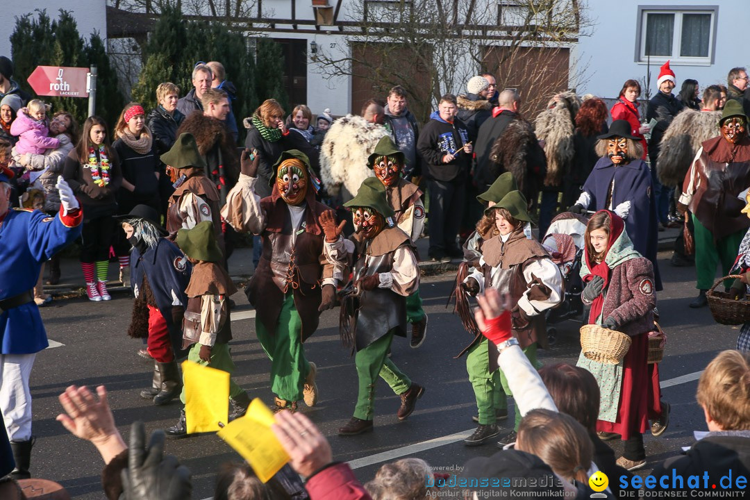 Narrensprung: Hasenweiler am Bodensee, 12.01.2014