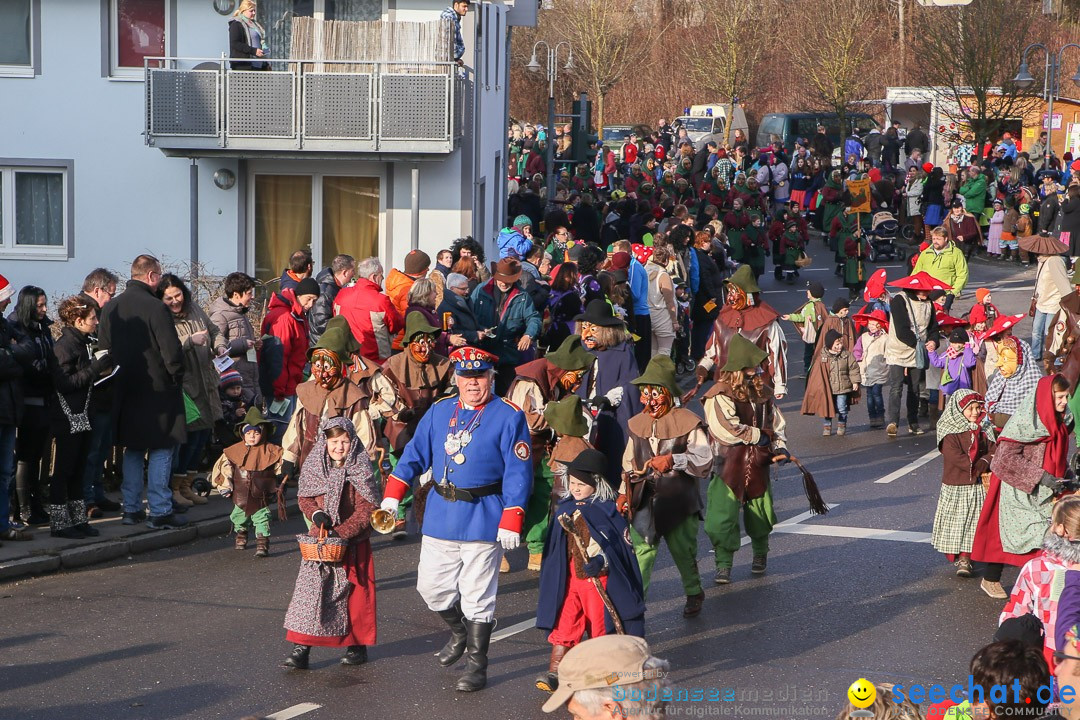 Narrensprung: Hasenweiler am Bodensee, 12.01.2014