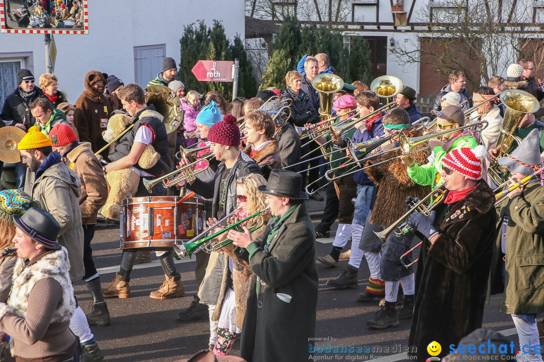 Narrensprung: Hasenweiler am Bodensee, 12.01.2014