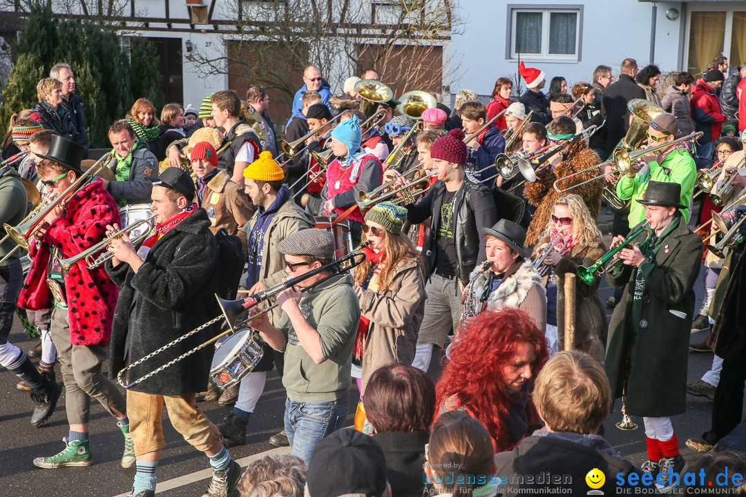 Narrensprung: Hasenweiler am Bodensee, 12.01.2014