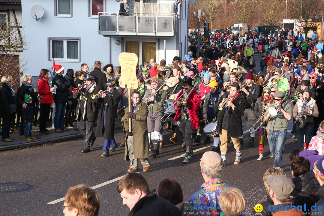 Narrensprung: Hasenweiler am Bodensee, 12.01.2014