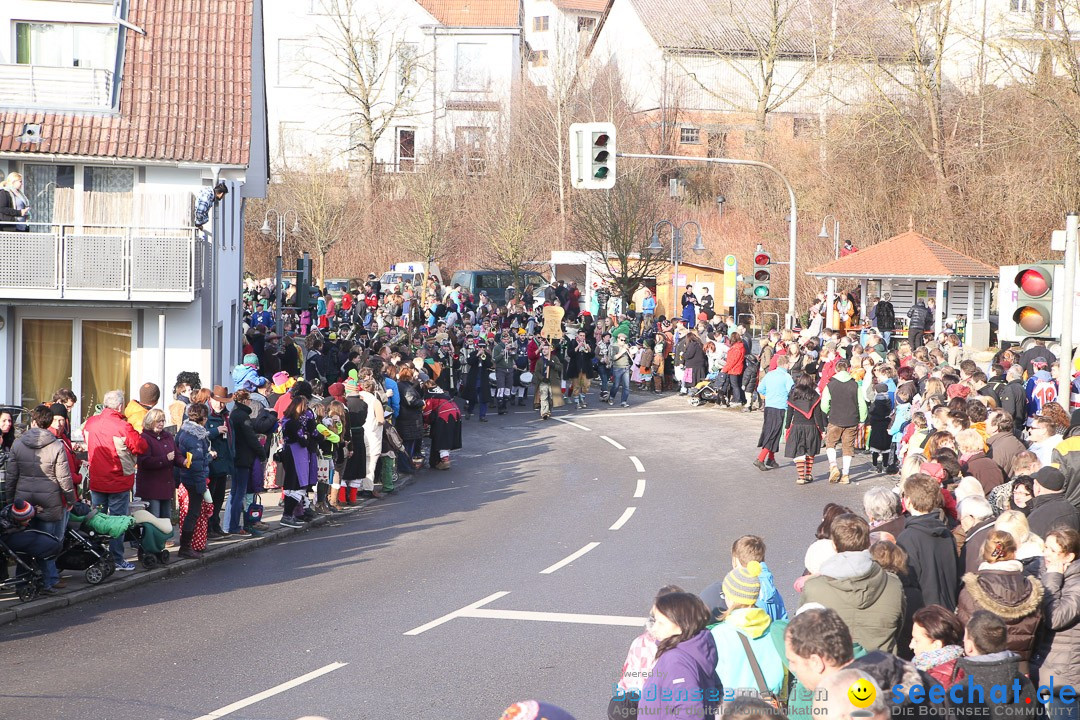 Narrensprung: Hasenweiler am Bodensee, 12.01.2014