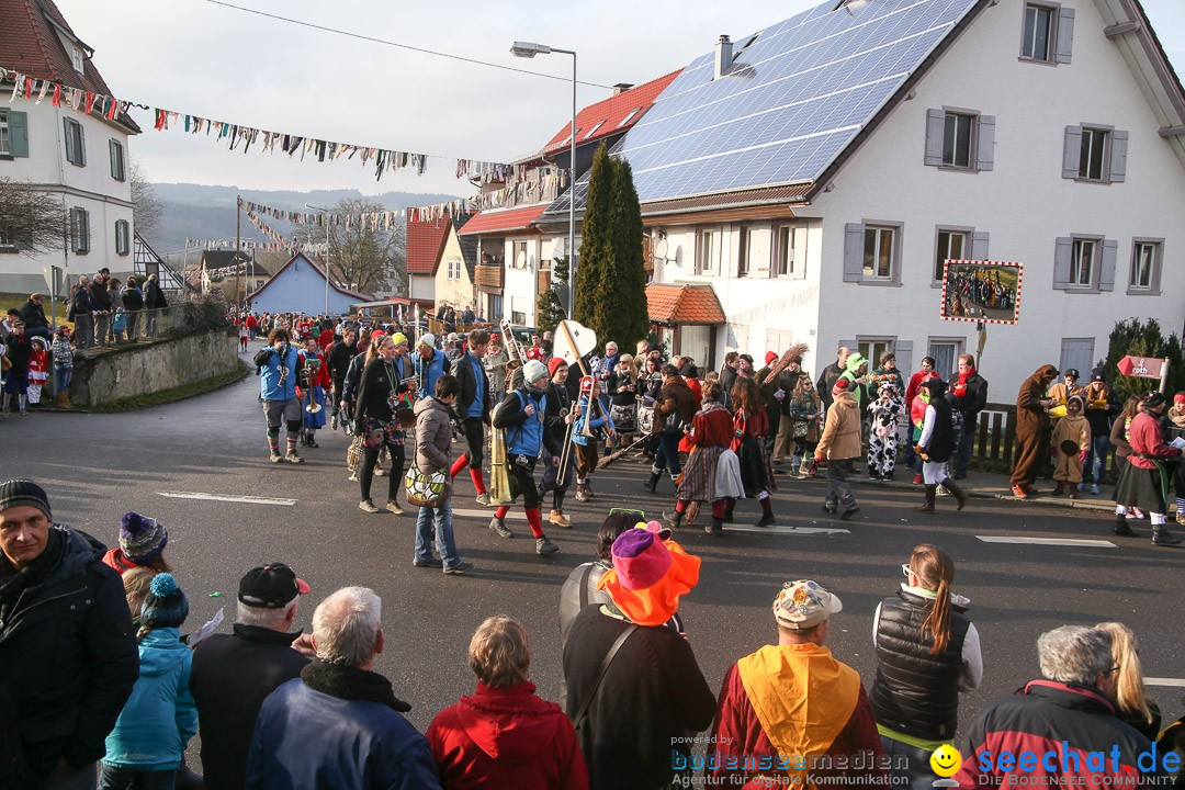 Narrensprung: Hasenweiler am Bodensee, 12.01.2014