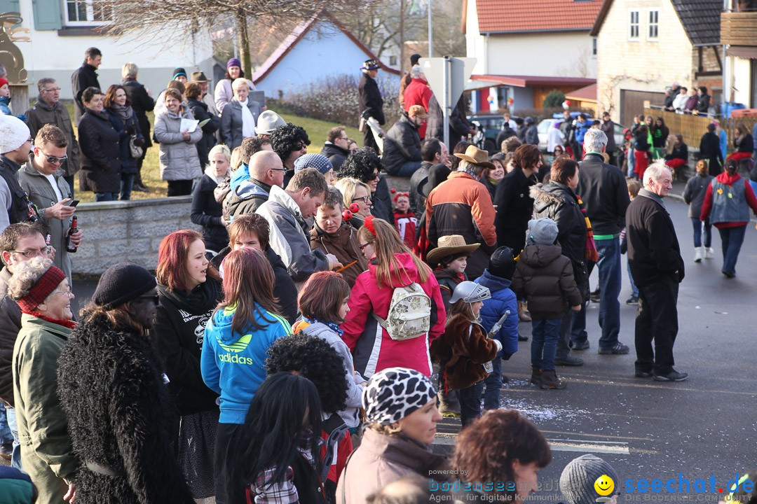 Narrensprung: Hasenweiler am Bodensee, 12.01.2014