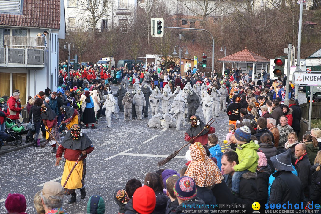 Narrensprung: Hasenweiler am Bodensee, 12.01.2014