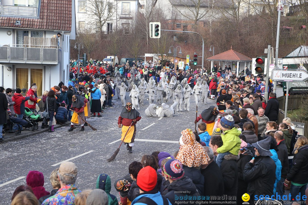 Narrensprung: Hasenweiler am Bodensee, 12.01.2014